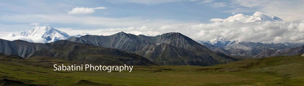 Denali NP Landscape Mt. Denali & Mt. Foraker 5″ x 15″ Print on Metallic Paper