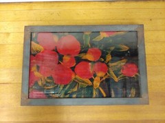 Isack Kounsky Untitled «Red Flowers» Color Photo Art w/ Steel Frame 11″ x 17″