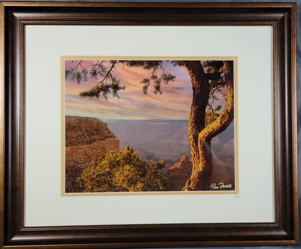 Grand Canyon’s Majestic South Rim Photographed at Sunset w/ Pine Tree 23″x19″