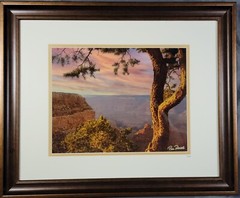 Grand Canyon’s Majestic South Rim Photographed at Sunset w/ Pine Tree 23″x19″