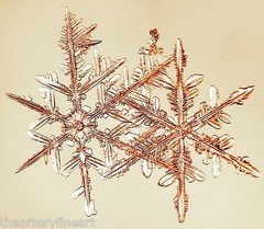 MIKE & DOUG STARN TWINS ‘Sno7.1_003 (Snowflake)’, 2005 SIGNED Photograph **NEW**