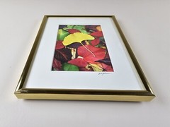 ART – VTG Original Signed Scott Johnson Photograph 10.5×8.5 Framed Gingko Leaves