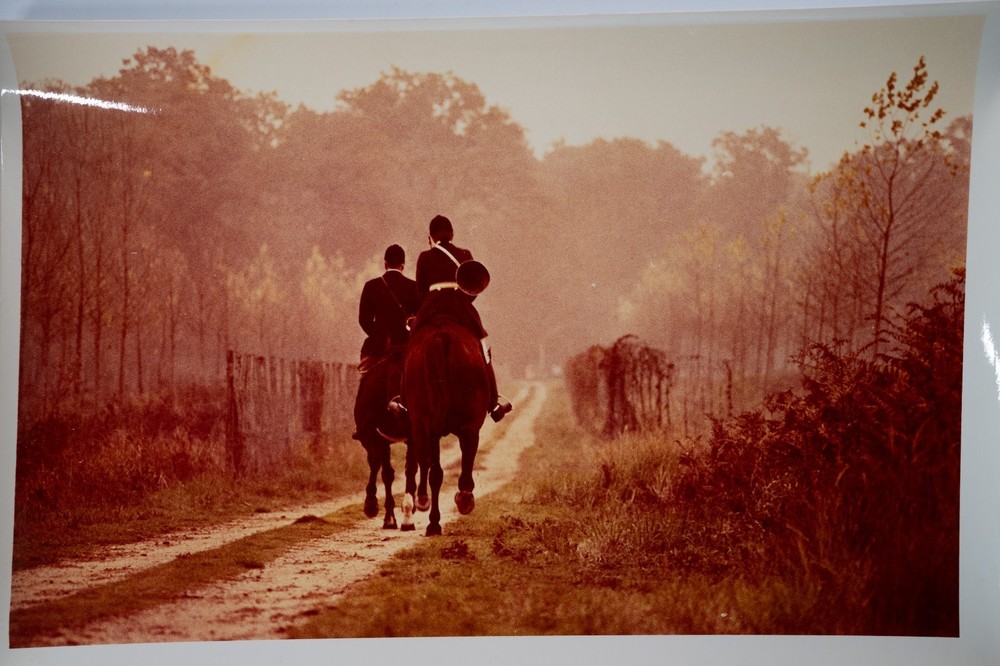 Analog Photo France Hunting Hound Horse 24X30CM 1970