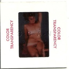 Org Vintage Camera Club Nude 1960s 35mm Slide / Negative- Endowed- Suntan- #4