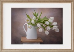 Floral Print of White Tulips wall art print home decor.