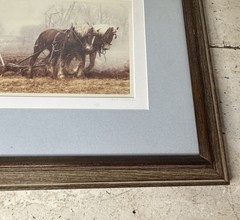 Bill Coleman Amish No. 11 Photograph 1/750 Farmer Draft Horse Team Plowing Field