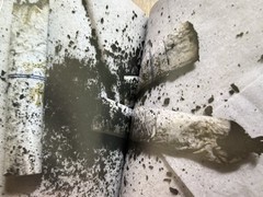 🎈SIGNED Daido Moriyama – Color Photograph, 2011, Limited Edition Super RARE!