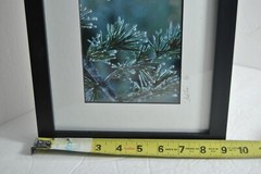 Icy Pines 1 of 50 Framed and Matted Under Glass Signed Photograph