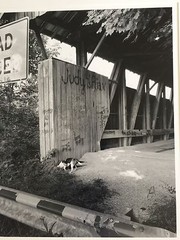 BRUCE BLUM SIGNED Black and White Photo Print (22″X 28″)-«Covered Bridge «
