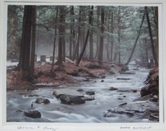 Diane F Gray Signed 8×10 Matted Photograph Titled «North Amherst»