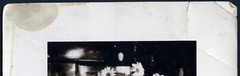 Larger size Vintage fine art Photograph, still life w flowers, 1920’s