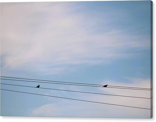 Framed Photo 24×36 ‘Distance Between’ Minimalist Birds on Power Lines, Blue Sky