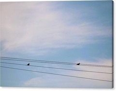 Framed Photo 24×36 ‘Distance Between’ Minimalist Birds on Power Lines, Blue Sky