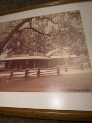 RARE Photographer Alexandre Nodopaka Woodside CA Signed And Numbered Store Tree