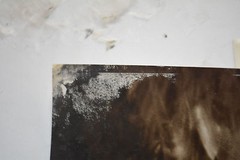 Original Alan Houghton fine art Photography «Karen Kelly-Jungle » 16 X 20″ 1985