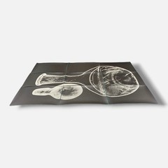 Sylvie Bussières «Sèrie Inutiles de Cristal» Foto No.2 Photogram Mural Wall Art