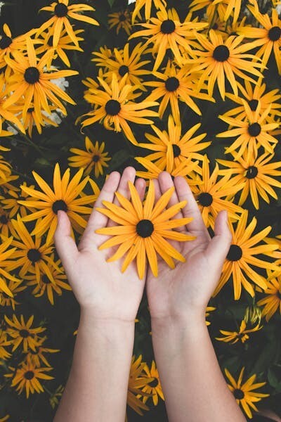 Digital Image Picture Photo Pic Wallpaper Background Person Holding Flowers