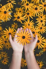 Digital Image Picture Photo Pic Wallpaper Background Person Holding Flowers