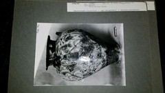 11 Total Photograph Collection from Art Department at Indiana University IU