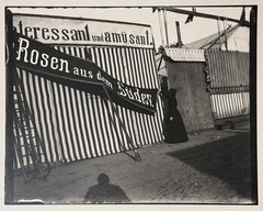 Heinrich Zille, the roses from the south, photograph from the estate, 1900/1997