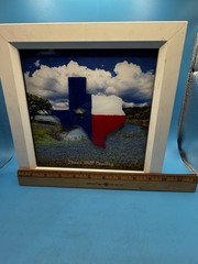 Texas Hill Country Bluebonnet Wall Art Hand Painted Glass Frame 10×10 Decor