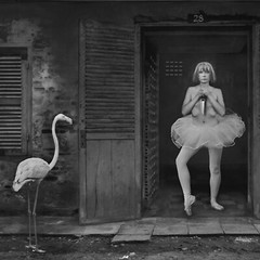 Fine Art B+W Photography Signed Ltd Edition Flamingo Ballerina Kafka in Cambodia