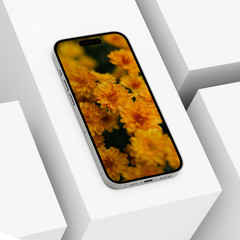 High-Resolution Floral Wallpapers Soft Natural Aesthetic Backgrounds for phones