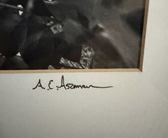 «Late Summer Light» Print by the photographer Albert Aszman. Signed