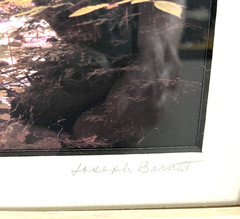 Joseph Barnett Photography Set of 2 Signed Autumn Themed Nature Framed Photos