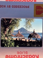 Lot Of 40 Vintage Kodachrome Tropical Island Vacation 35mm Color Slides ct33