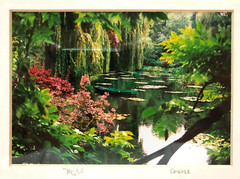 Signed Claude Taylor Monet’s Garden France Framed Matted Photograph 11×9