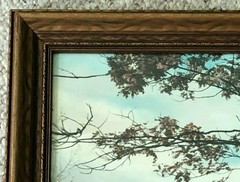 Large Charles Sawyer Autumn Glory Hand Colored Photo Nutting Peer 22″ x 18 1/2″