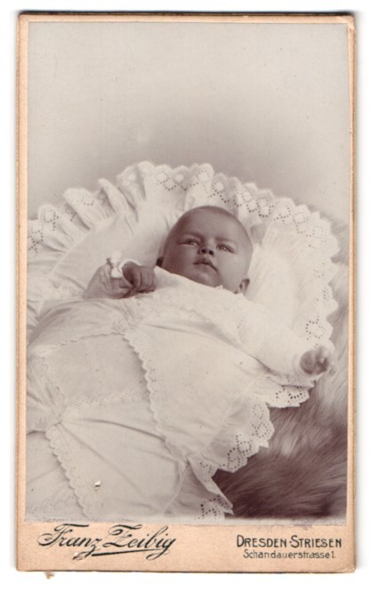 Photograph Franz Zeibig, Dresden, Schandauerstrasse 1, cute baby in Spitz