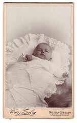 Photograph Franz Zeibig, Dresden, Schandauerstrasse 1, cute baby in Spitz