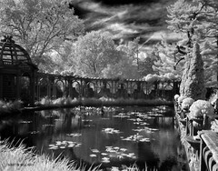 Beautiful black and white infrared photograph mounted on board.
