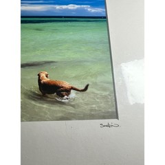 Tony Scullin Dog Beach Key West Photo Print Signed Coastal Art Matted 16×20