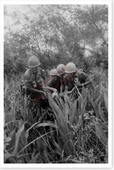 Vietnam War 199th Inf Brigade Carry Wounded Lhu Duc District Silver Halide Photo