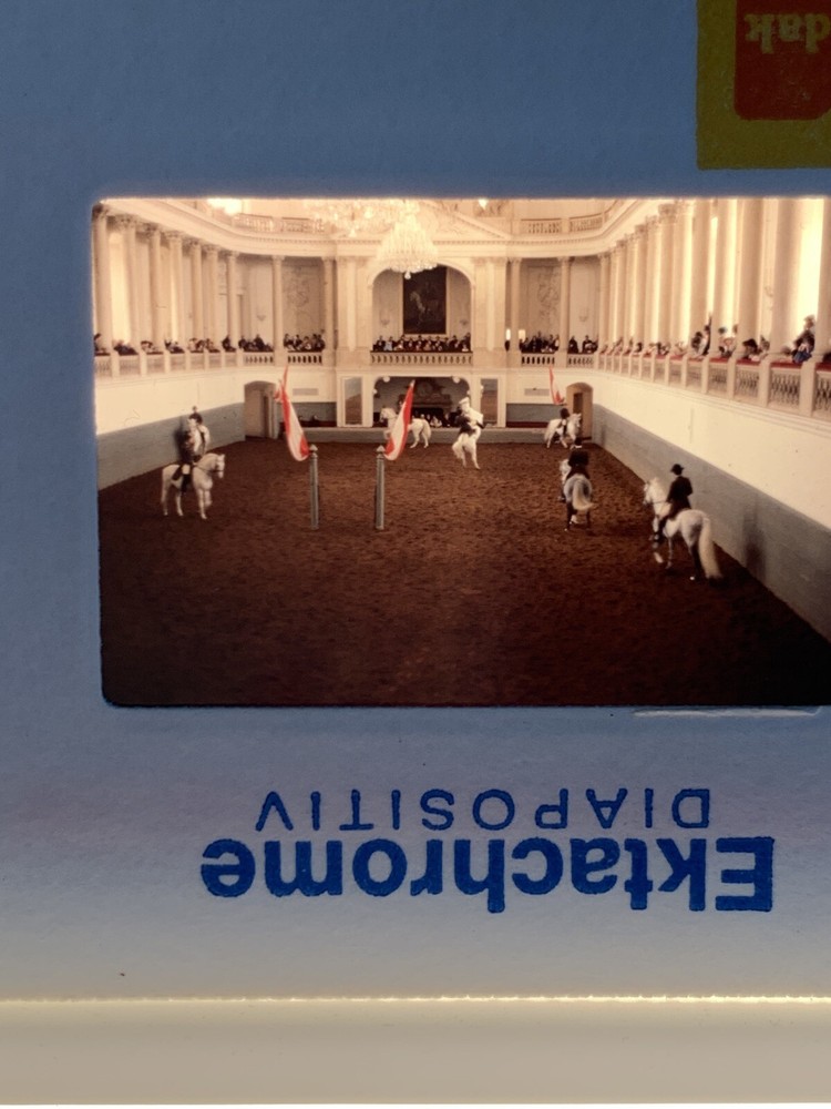 Lot Of 23 1983 Vienna Austria Spanish Riding School Amateur 35mm Color Slides