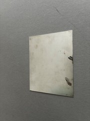 Signed Artist Tintype Silver Gelatin Lucas Von Der Linden 2010