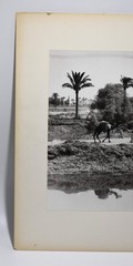 J.W. Howlett Black + white Photograph focusing on a Group of Travelers W/ Camel