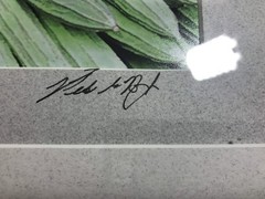 FRAMED PHOTOGRAPH – Hong Kong Market Signed 17.5 X 21.5