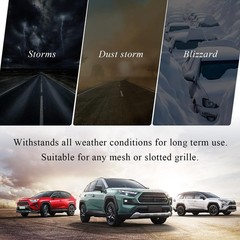 Yourkar Front Grille Badge, Classic Retro Tri-Color Stripe Automotive Mesh Gr…