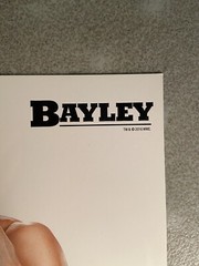 2016 Bayley NXT Original Hand Signed Autographed 8×10 Promo Photo WWE Sasha Bank