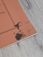 1893 J. Stoddard’s Portfolio of Photographs~ Famous Cities, Scenes & Paintings