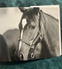 RARE ‘Back Home’ Signed Photography Art Book, Lexington Ky ISBN #9787517907770