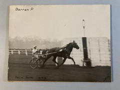Original Horse Riding Course Photo 1949 Horse Barran Photo