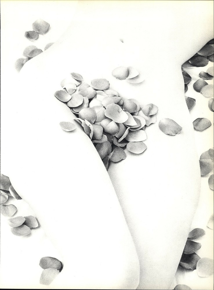 1966 Wingate Paine Female Nude Body Rose Pedal Art Photo Photogravure 16 X 20