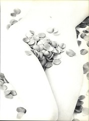 1966 Wingate Paine Female Nude Body Rose Pedal Art Photo Photogravure 16 X 20