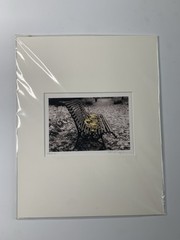 Paris Bench leaves Photograph Print Signed W.P. Thayer 8”x10” Matted Measurement