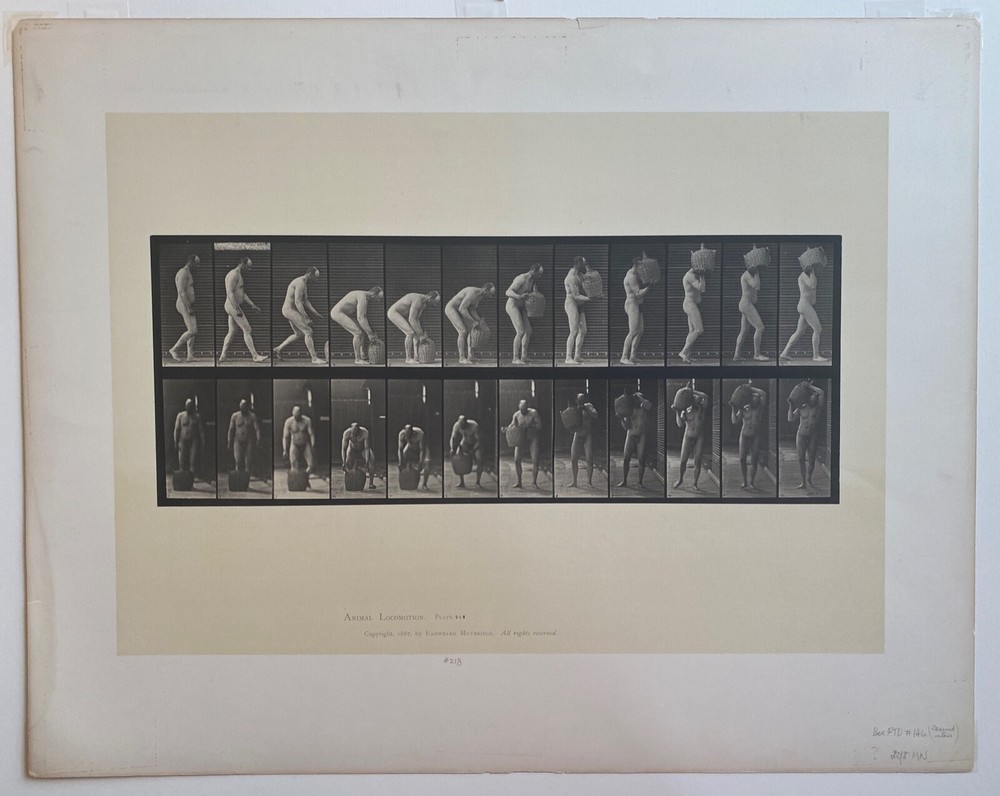 EADWEARD MUYBRIDGE authentic 1887 collotype ANIMAL LOCOMOTION PLATE 218 – lewitt